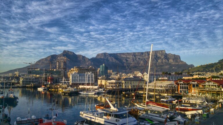 From Culture to Capital: How UAE-Africa Creative Ties Are Redefining Soft Power and Economic Growth