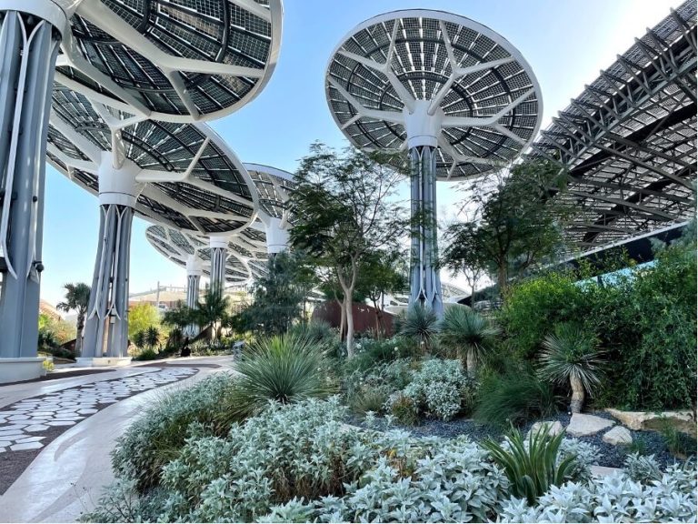 Desert Group Showcases Sustainable Landscaping at Myplant & Garden ME 2025 Dubai